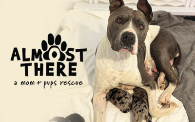 Doggie Adoption Event