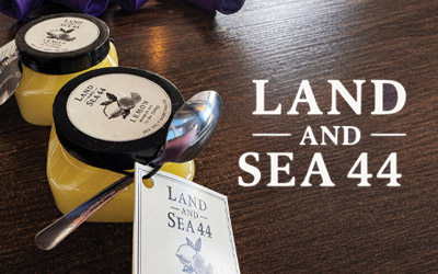 Land and Sea 44
